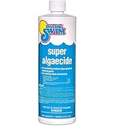 In The Swim Super Pool Algaecide – Low Odor Non-Foaming Preventative Treatment for Yellow Algae i...