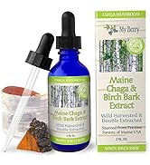 Chaga Mushroom Extract Liquid | Wild Harvested & Double Extracted | USA & Canadian Grown Chaga | 2oz