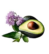 TEATRICAL Face Moisturizer with Avocado & Stem Cells, Moisturizing Face Cream for Women, Hydratin...