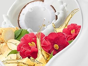 Ingredients Pre- & Postbiotic