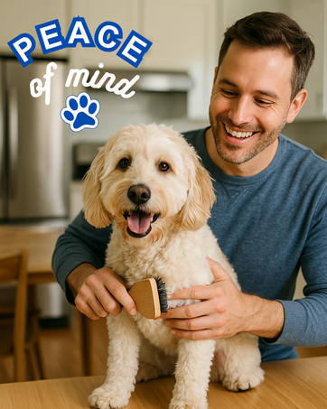 peace of mind, sit stay forever,  organic pet care