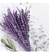 Dried Lavender Flowers for Home Decor (purple-2oz)