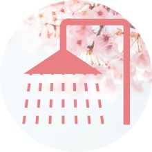 Cleansing and rejuvenation