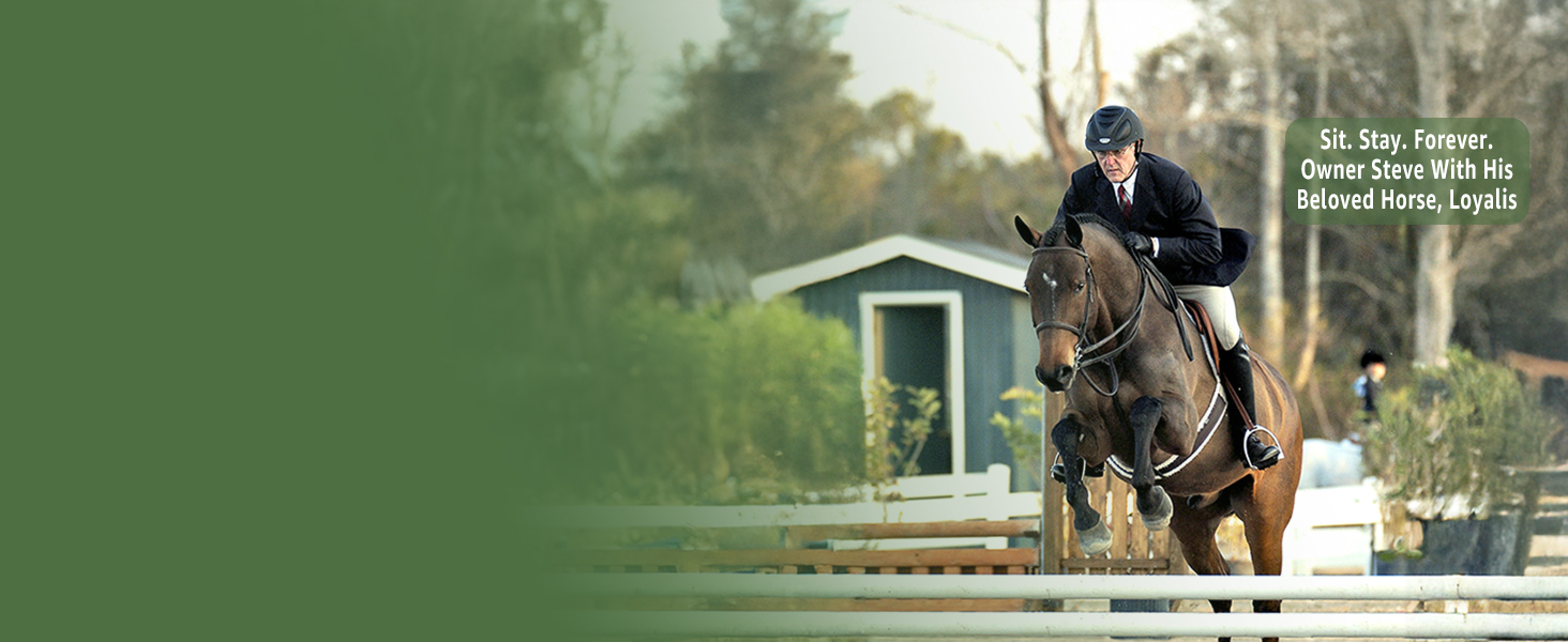 Sit Stay Forever horse dry shampoo and coat defense