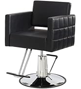 Buy-Rite Icon Styling Chair for Professional Salons and Barbers, Black Modern Hair Stylist Chair ...