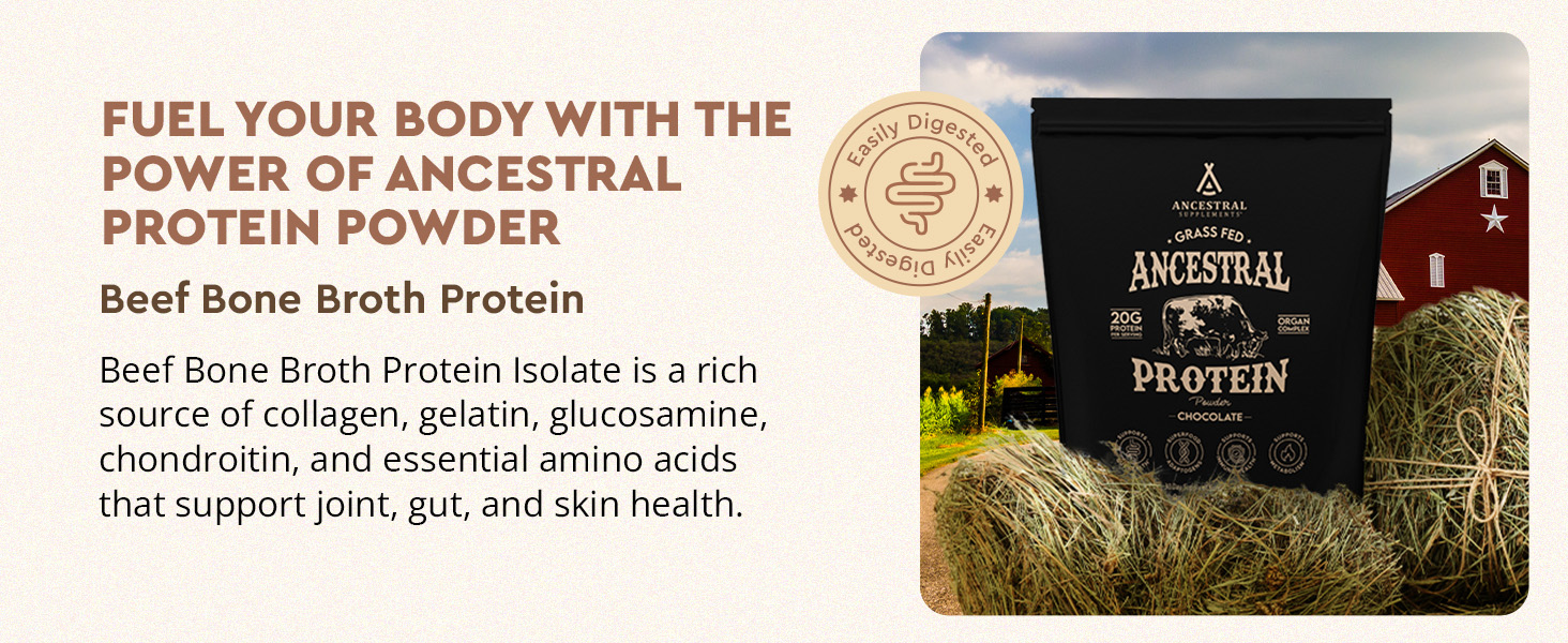 rganic, natural, grass-fed beef & bone broth protein powder, no sugar, reishi, lions mane, chaga