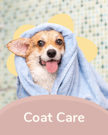 coat care
