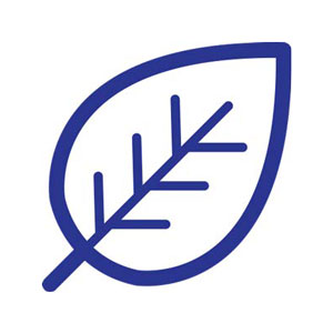 Leaf Icon