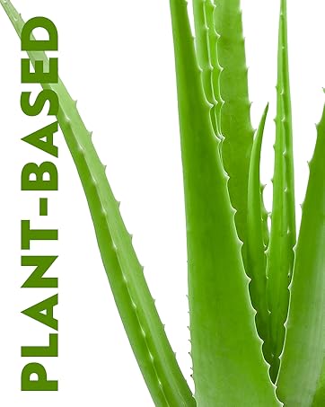 Plant-Based, Close-up image of Aloe Vera Plant