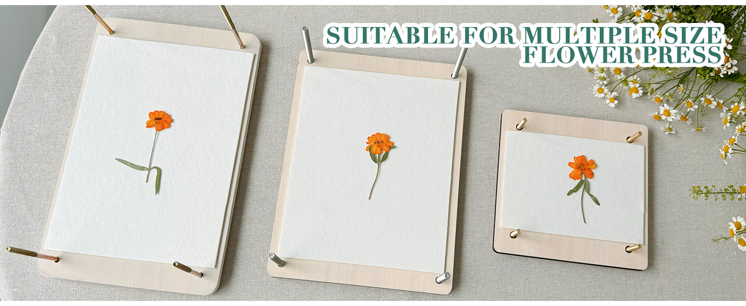 Blotting Paper for Flower Press