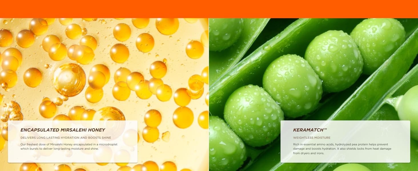 Ingredients of the Gisou Honey Infused Lip Oil