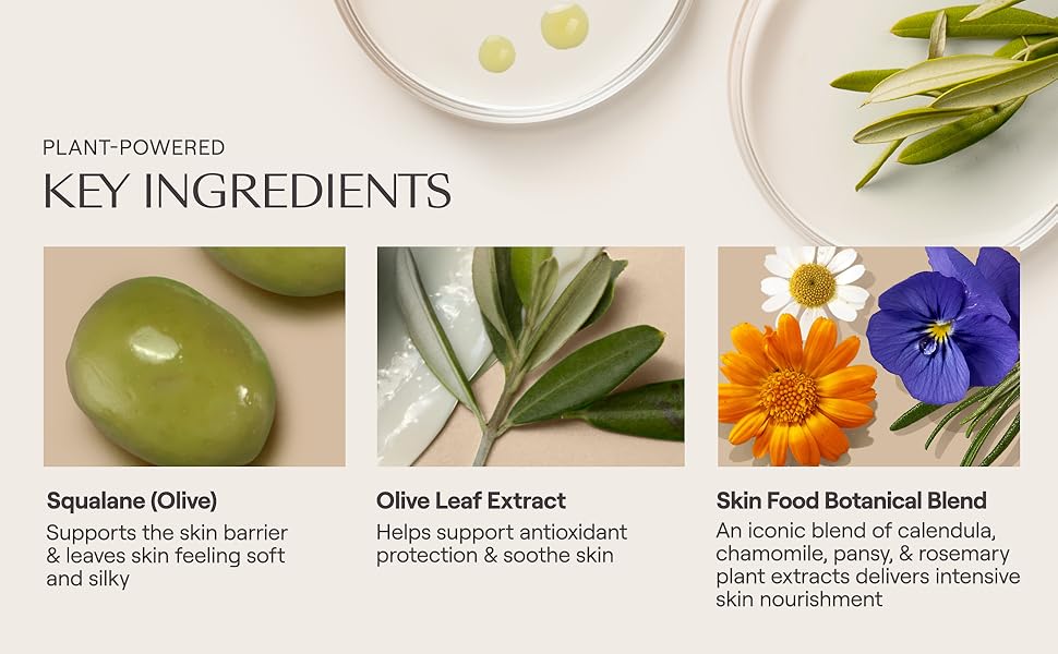 key ingredients squalane olive leaf extract skin food