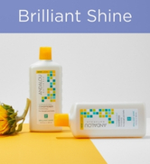 Andalou Naturals Sunflower and Citrus Brilliant Shine Conditioner, 11.5 Ounce