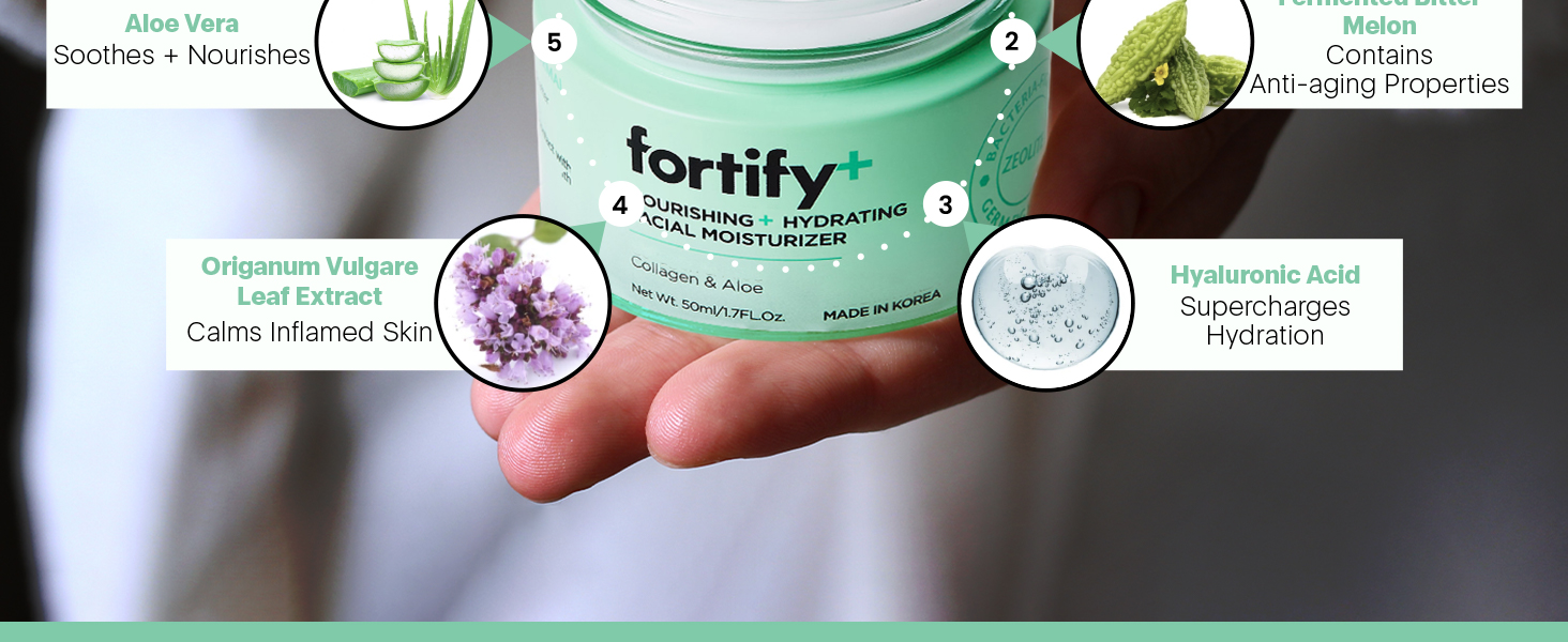 Fortify Skincare Moisturizing Day Cream