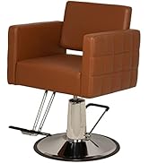 Buy-Rite Salon & Spa Equipment Icon Styling Chair for Professional Salons and Barbers, Modern Hai...