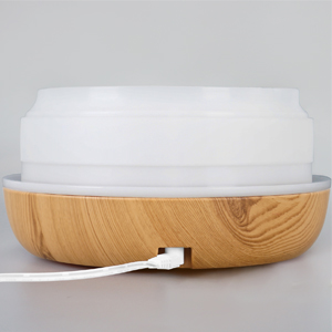 cute humidifier diffuser with essential oils included
