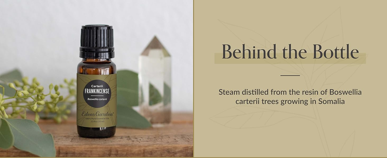 boswellia carterii oil, steam distilled frankincense, somalia sourced essential oil, resin oil