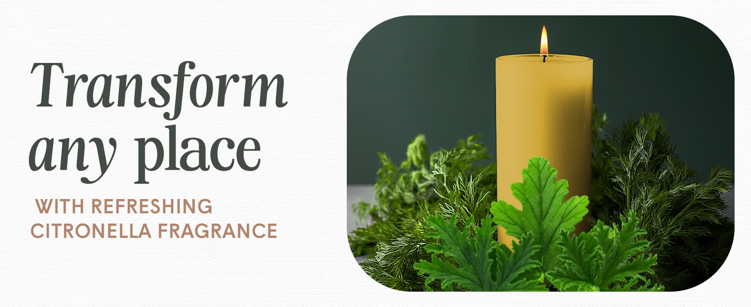 Brighten your space with uplifting citrus aromas and timeless design