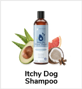 itchy dog shampoo 