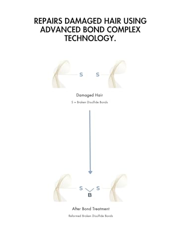bond visual
