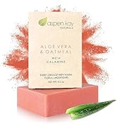 Aspen Kay Naturals Soap Bars (1, Aloe Vera & Oat Meal With Calamine)