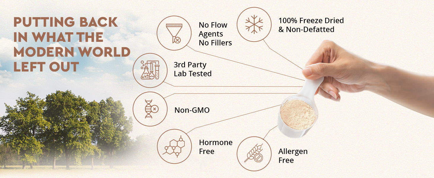 rganic, natural, grass-fed beef bone broth protein powder, no sugar, reishi, lions mane, chaga