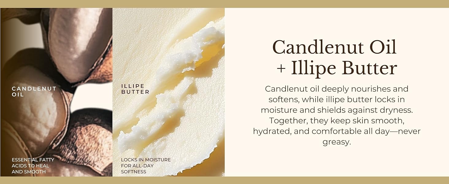 candlenut and illipe