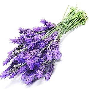 Essential Oils botanical botanicals cruelty free nature secret at home spa experience fragrance 