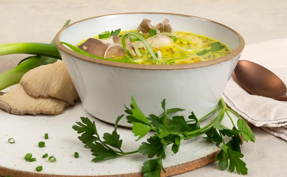 beef broth