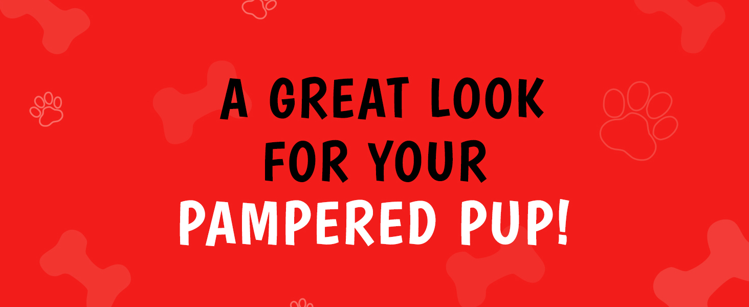 A great look for your pampered pup! 