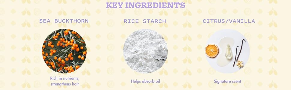 Key Ingredients