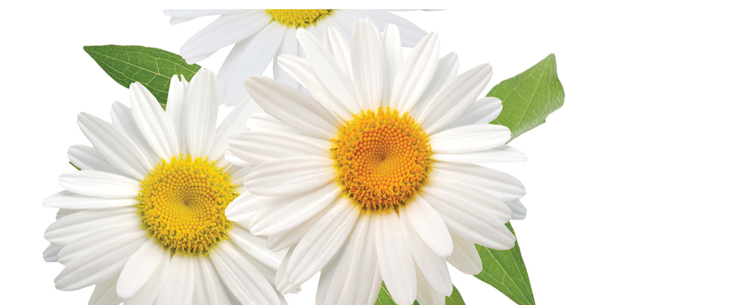 Eczema Honey products offer natural relief for irritated skin.