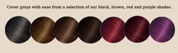 black hair dye shampoo 100% gray coverage