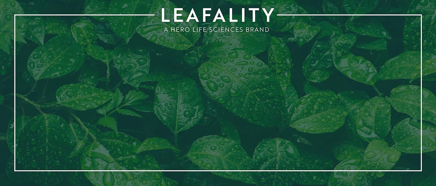 Leafality, A Hero Life sciences Brand, Green Leaves wiht water droplets