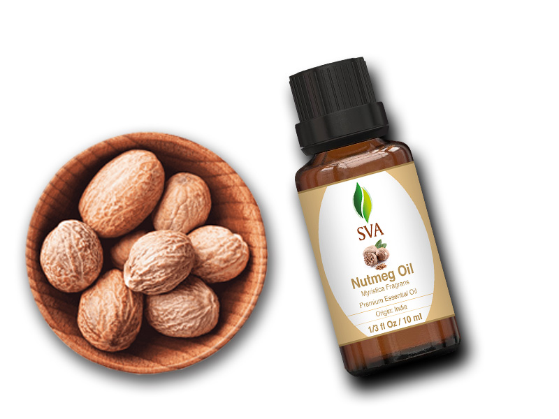An amber glass 1/3 ounce nutmeg essential oil bottle alongside of raw nutmeg seeds