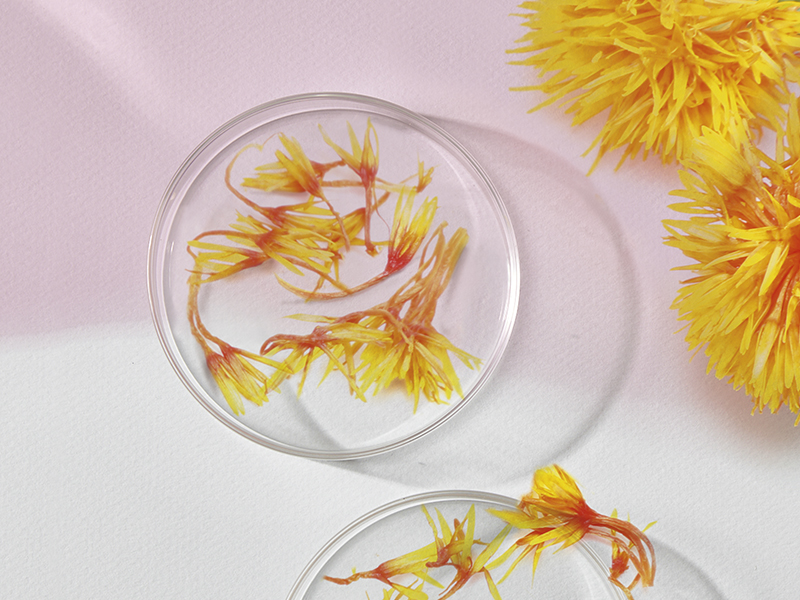 Plant-based Oils enhanced with soothing properties of Avène Thermal Spring Water