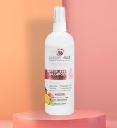 Waterless Shampoo Citrus