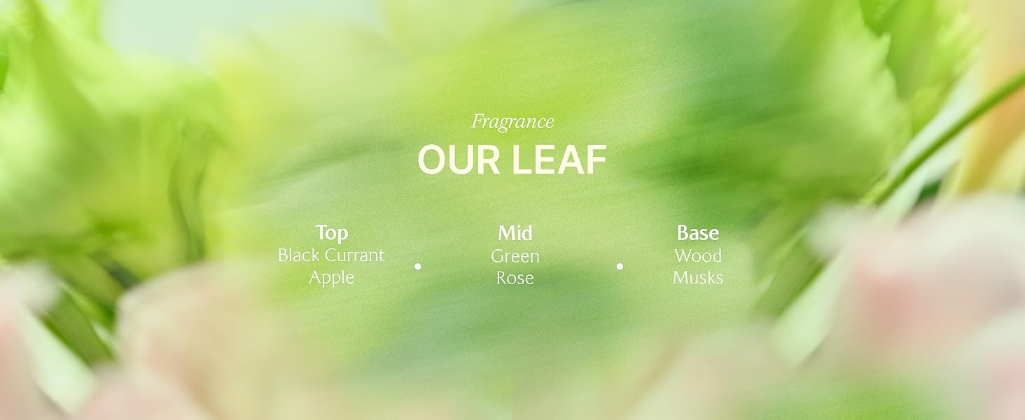 Our Leaf Fresh Hair Oil Serum Curl Volume Enhancer Nourishing Smoothing for Dry Damaged Haircare