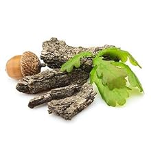White Oak Bark