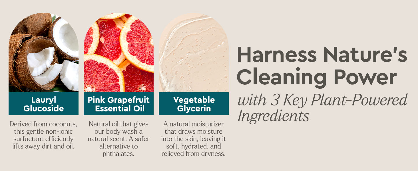 Plant-based ingredients in Puracy baby wash