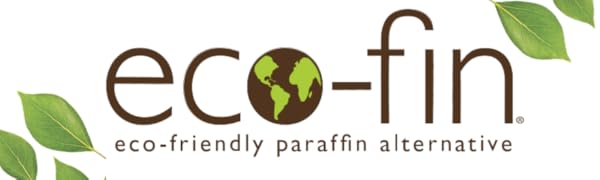 Eco-fin Logo
