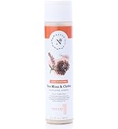 NaturAll Sea Moss & Chebe 8.5 Oz Wash & Go Shampoo – Nourishing Cleansing Shampoo for Men & Women...