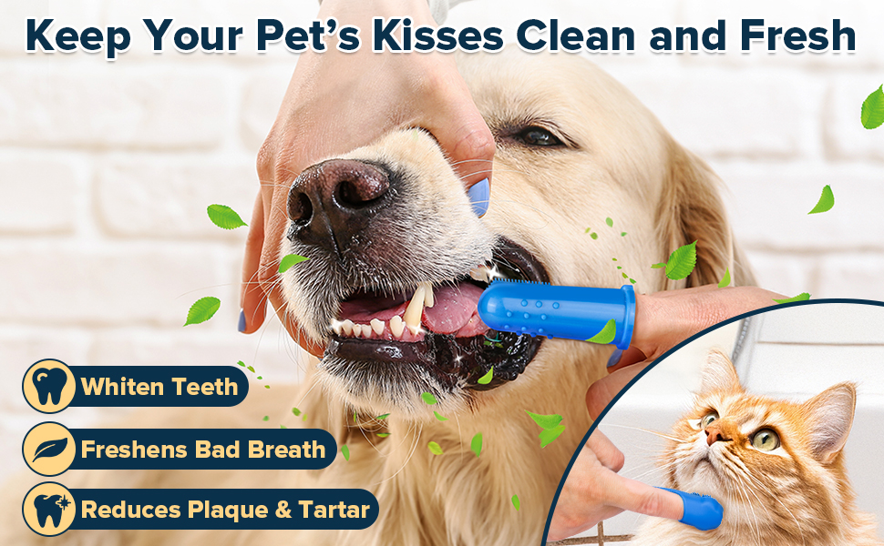 dog shampoo brush