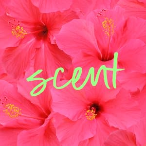Tree Hut Pink hibiscus gel wash scent