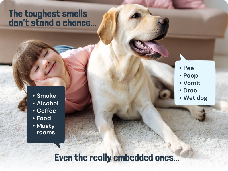 pet carpet powder for vacuuming powder for carpet deodorizer carpet powder freshener