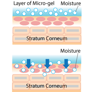 mechanism