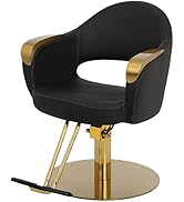 Buy-Rite Luna Gold Styling Chair for Professional Salons & Spas, Durable Brushed Gold Armrests, B...