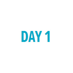 Day 1