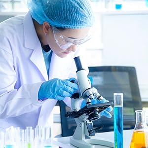 Lab