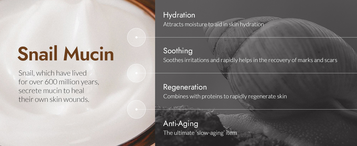 Snail Eye Cream